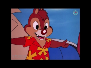 chip and dale - part 1